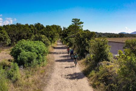 Parcours best sale vtt corse